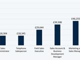 A graphic image displaying median sales salaries by job title
