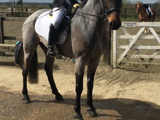 Lucy Burrows, Aaron Wallis Sales Recruitment