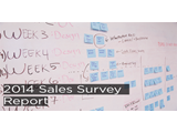 A graphic image displaying 2014 UK sales survey report