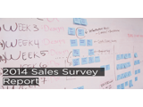 A graphic image displaying 2014 UK sales survey report