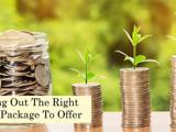 A graphic image displaying working out the right salary package to offer