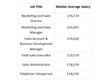 A graphic image displaying how much sales professionals in Birmingham earn