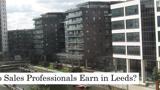 How Much Do Sales Professionals Earn in Leeds?