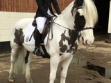 Lucy Burrows, Aaron Wallis Sales Recruitment