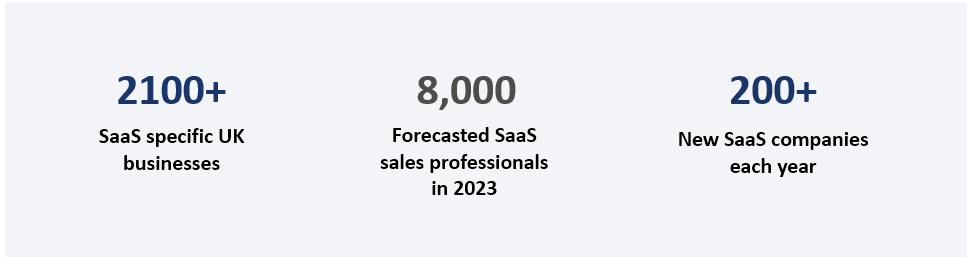 Sales Professionals in the UK Sector