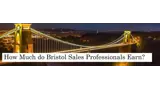 How Much Do Sales Professionals Earn in Bristol?