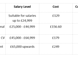 A graphic image displaying CV writing service 